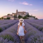 How to plan a honeymoon in Provence: lavender fields, charming villages and romantic countryside stays
